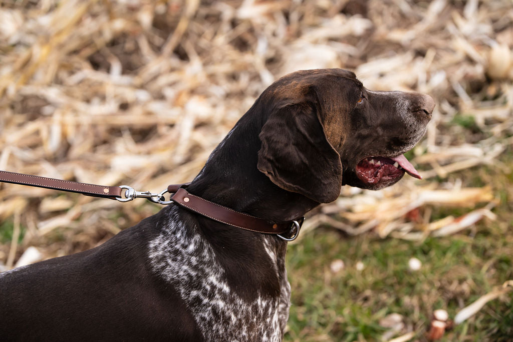 1” Field Collar