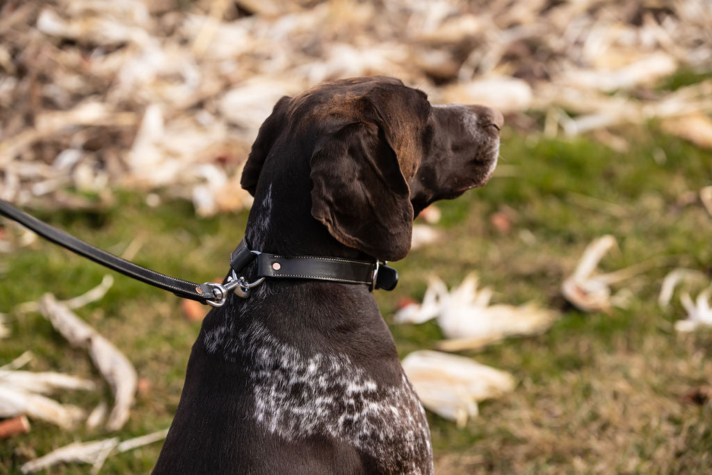 1” Field Collar