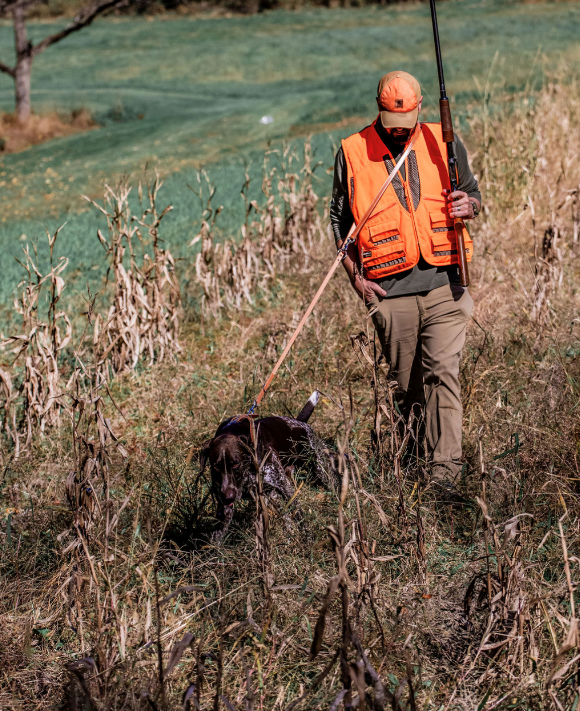 Field Leash