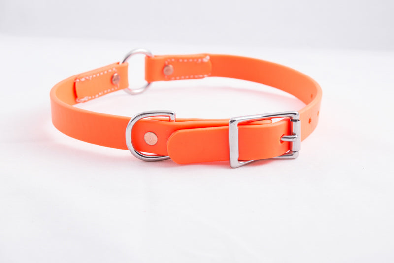 504_HC_Orange-2