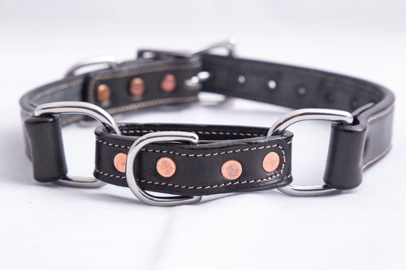 510_Black_Back
