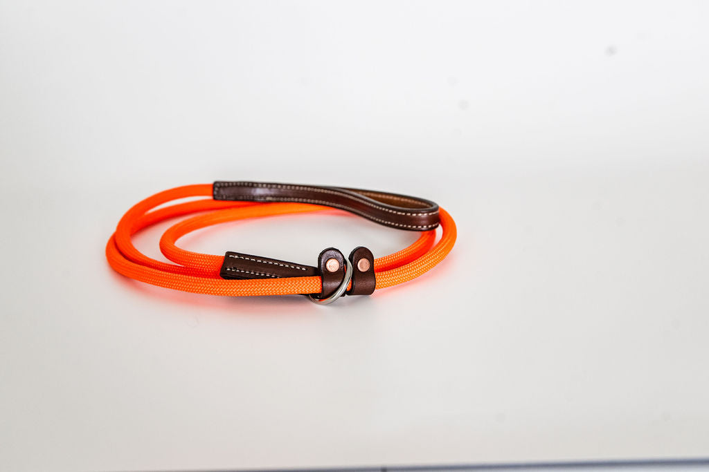 Rope Slip Leash