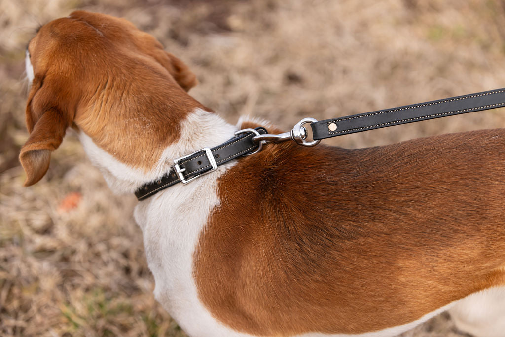 Standard Stitched ¾” Dog Collar